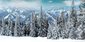 Jakie powinny być pierwsze kolczyki? Jakie powinny być pierwsze kolczyki?