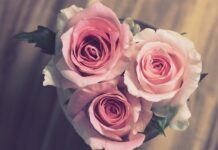 Czy zaręczyny są dla was ważne?