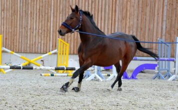 Jaka włóczka na getry? Jaka włóczka na getry?