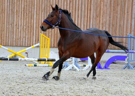 Jaka włóczka na getry? Jaka włóczka na getry?