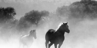 Czy 15 latek może palić e-papierosa? Czy 15 latek może palić e-papierosa?