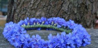 Czy do wianka pasuje welon?