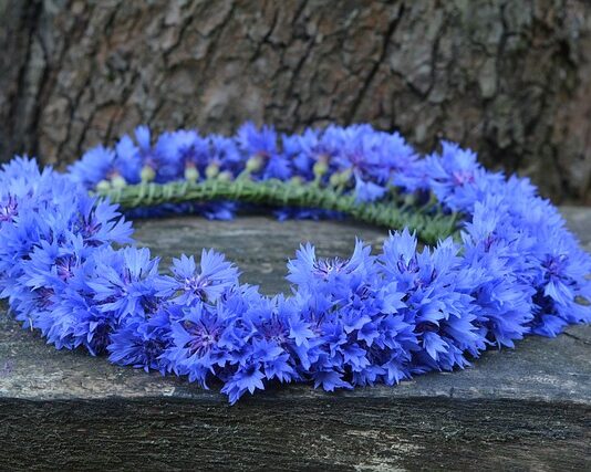 Czy do wianka pasuje welon?