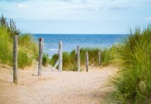 Do czego cienki pasek? Do czego cienki pasek?