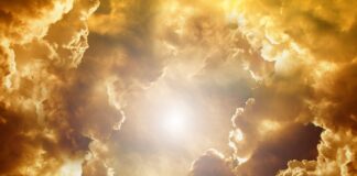 Jaki mam kształt twarzy aplikacja? Jaki mam kształt twarzy aplikacja?